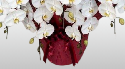 メッセージカード