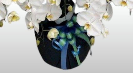 メッセージカード